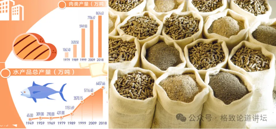 仅仅是吃点豆腐喝点豆浆，就让咱们国家陷入了大豆危机？
