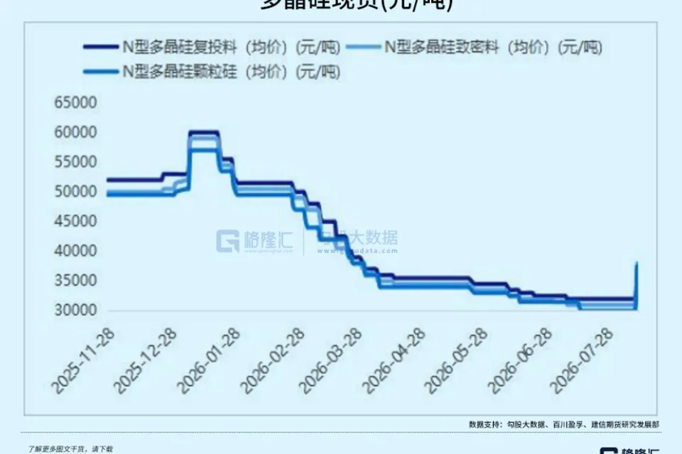 亏掉几百亿之后，新能源“旧王”都去哪了