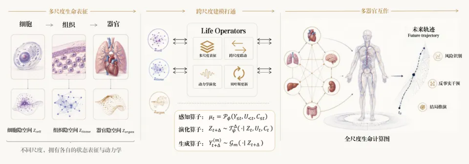 一个人，十五年，他想重写医疗AI的底层逻辑